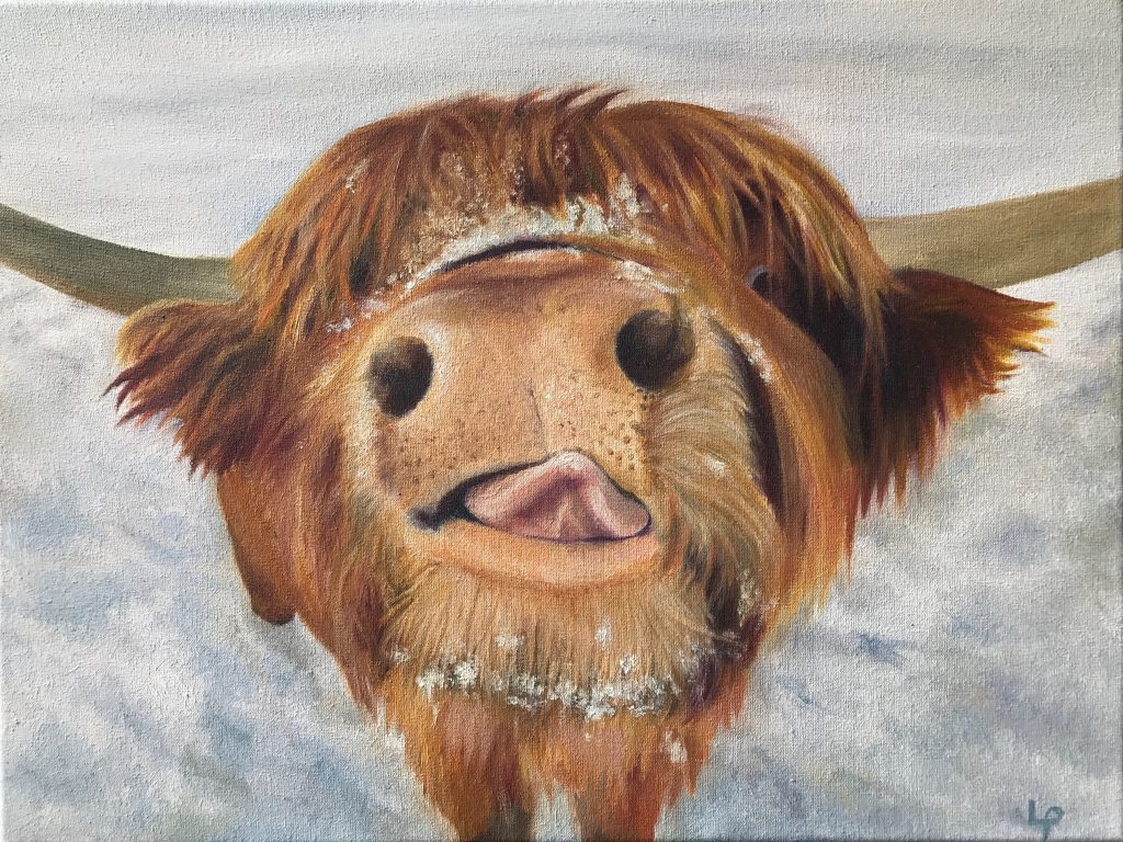 One of Laura's original animal oil on canvas paintings. A Highland cow licks its nose in the snow.