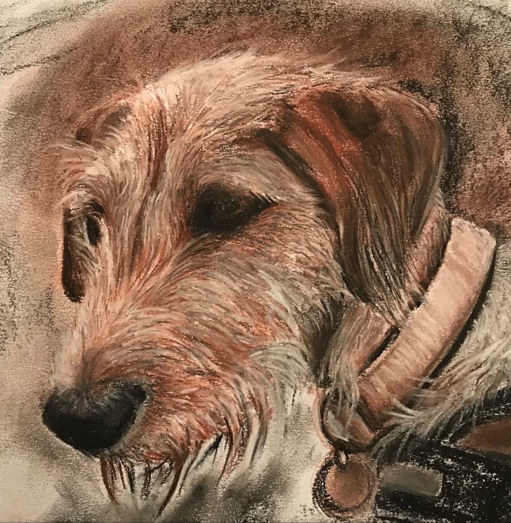 One of Laura's original drawings of an Irish terrier in her animal collection