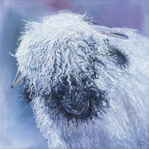One of Laura's original animal collection. oil on canvas paintings. A textured brush painting of a Valaisan black nosed sheep. Purple and pinky hues.