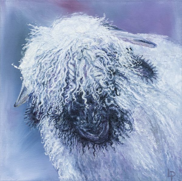 One of Laura's original landscape oil on canvas paintings. A textured brush painting of a Valaisan black nosed sheep. Purple and pinky hues.