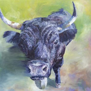 One of Laura's original animal oil on canvas paintings. A Swiss black cow on a vivid green grassy background. Swipes of the palette knife and blurry brush strokes evoke a sense of movement from the beast.