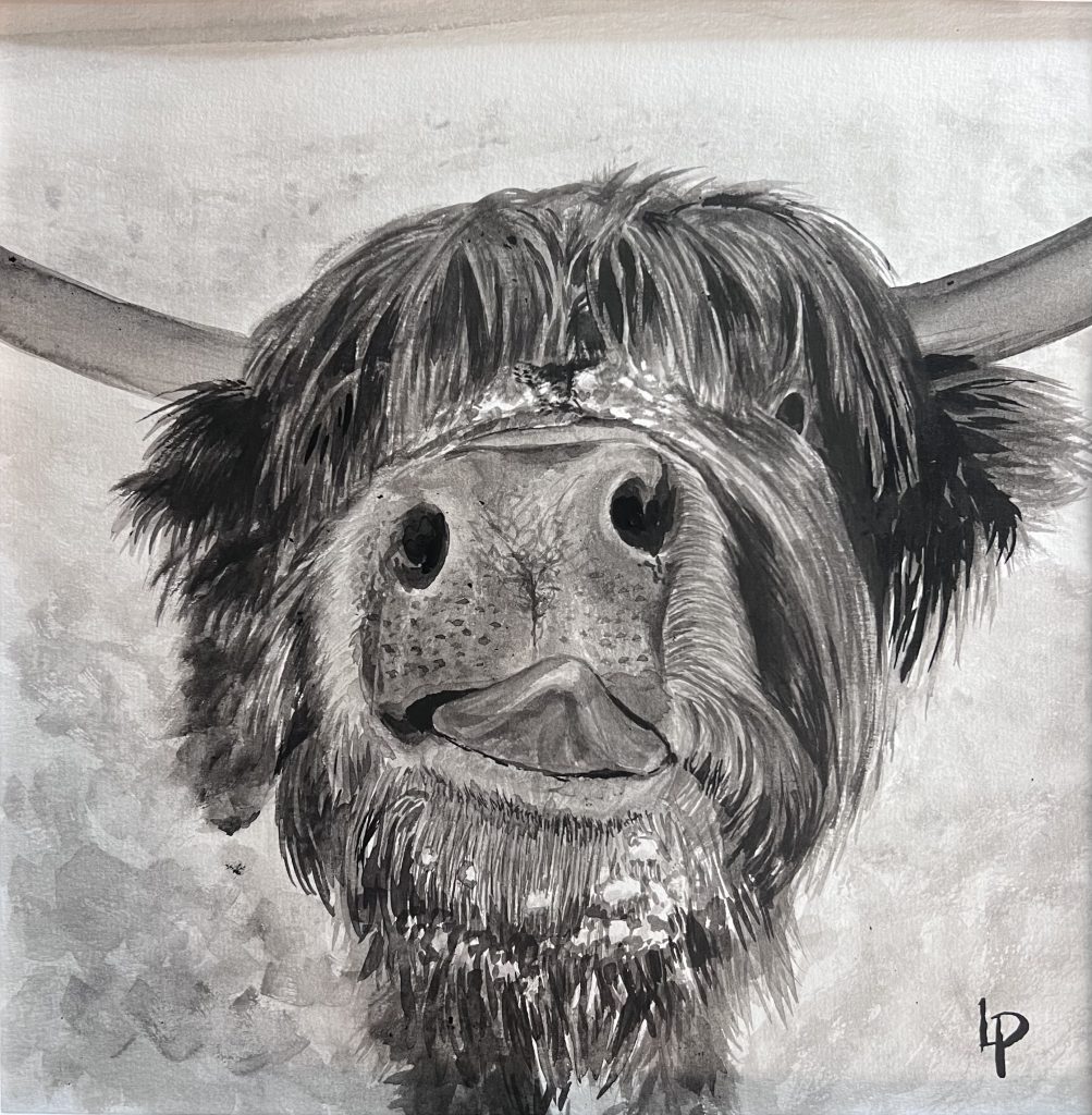 One of Laura's original ink paintings. Highland cow from her animal collection.